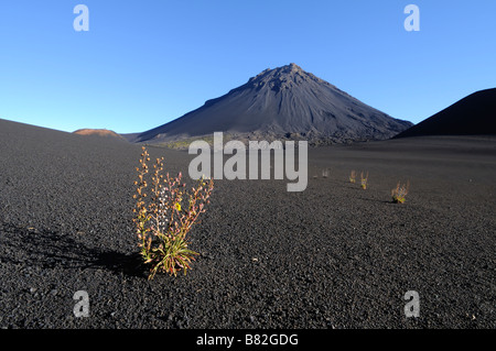 Pico de Fogo, Fogo Island, Cape Verde, Afrika Stockfoto