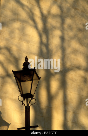 Schatten der Bäume fallen auf einer Wand hinter einer Straße Lampin Luxemburg Stockfoto