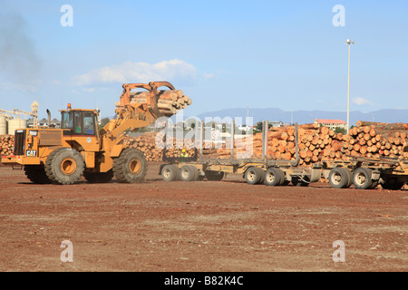 Loader und Talon der Kiefer Protokolle für export bei Holzlagerplatz, Prime Port, Timaru, Canterbury, Südinsel, Neuseeland Stockfoto