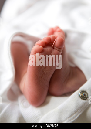 des Babys Füße. Stockfoto