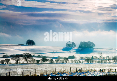Einen sonnigen verschneiten Landschaftsblick oder eine Filmszene auf Overton Hill in der Nähe von Marlborough Wiltshire England UK