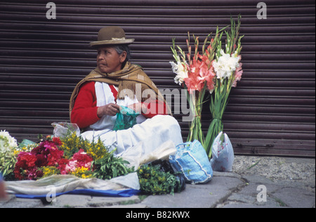 Aymara-Dame oder Cholita kauen Kokablätter und verkaufen Blumen im Mercado Rodriguez, einem typischen Straßenmarkt in der Nähe des Stadtzentrums, La Paz, Bolivien Stockfoto