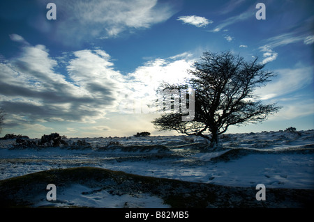 Bodmin Moor Cornwall nach leichter Schneefall Stockfoto