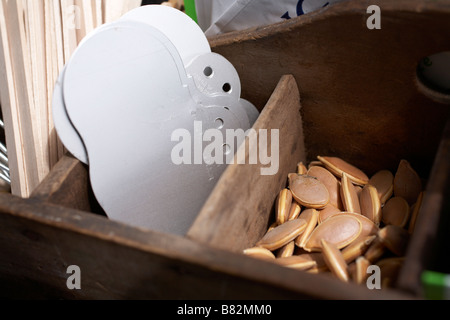 Getrocknete Kürbiskerne in der Pflanzung Tablett mit Pflanzen-Etiketten Stockfoto