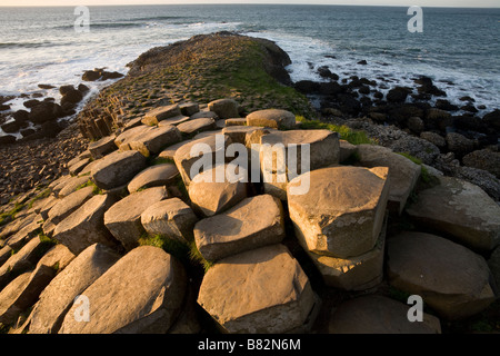 Damm nach Schottland. Sechseckige Säulen aus Basalt Glühen in der Nachmittagssonne, während sie in Richtung der brechenden Wellen-down Step Stockfoto