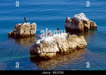 Die felsige Küste der Adria im Norden Kroatiens Stockfoto