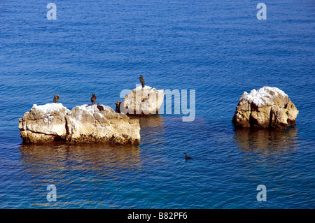 Die felsige Küste der Adria im Norden Kroatiens Stockfoto