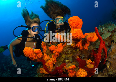 Taucherinnen in bunten Riff, Karibisches Meer, blauem Wasser, Hartkorallen, Ozean, Tauchen, Bikini, Unterwasser, Insel St. Kitts, Stockfoto