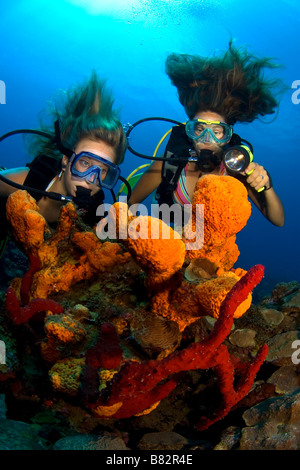 Taucherinnen in bunten Riff, Karibisches Meer, blauem Wasser, Hartkorallen, Ozean, Tauchen, Bikini, Unterwasser, St. Kitts Stockfoto