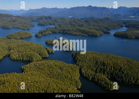 Great Bear Rainforest Antenne Stockfoto