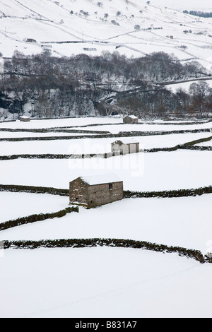 Swaledale im Winter Yorkshire Dales National Park Stockfoto