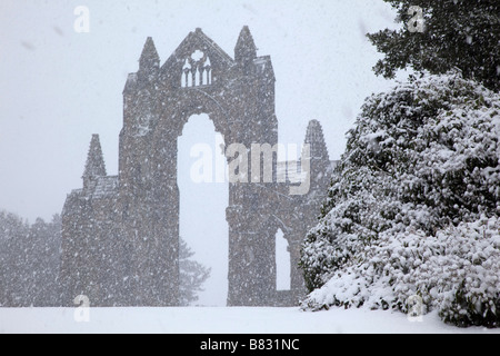 Gisborough Priory im Winter Tees Valley Cleveland North East England Stockfoto