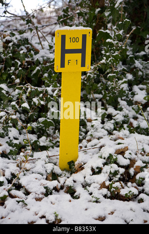 Wasser-Hydranten gelb H Marker im Schnee Stockfoto