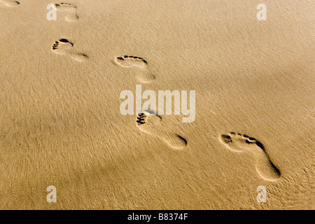Fußspuren im sand Stockfoto