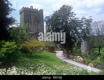 Blarney Castle, Co. Cork, Irland Stockfoto