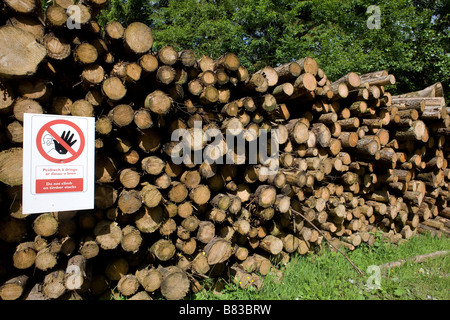 Stapel von Protokollen für Biokraftstoff an Craig yr Aber Bridgend County Borough South Wales mit bestimmt nicht steigen, Ankündigung Stockfoto