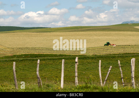 Bauer auf seinem Traktor in einem Feld von Heuballen. Cezallier. Auvergne. Frankreich Stockfoto