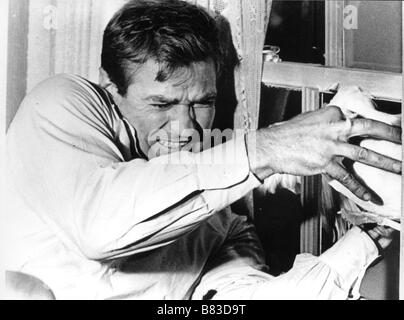 Die Vögel Jahr: 1963 - USA Rod Taylor Regie: Alfred Hitchcock Stockfoto