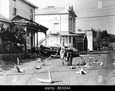 Die Vögel Jahr: 1963 - USA Tippi Hedren, Rod Taylor Regisseur: Alfred Hitchcock Stockfoto