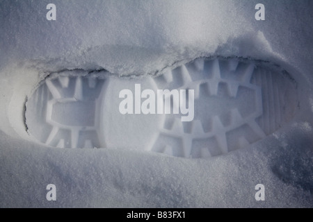 Präsenz in den Schnee, Surrey, England. Stockfoto