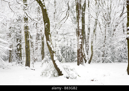 Starker Schneefall schafft ein Wintermärchen, London Stockfoto