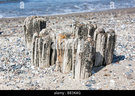 Alten Wellenbrecher an einem Strand in der Nähe des Hafens von Heiligenhafen, Deutschland. Stockfoto