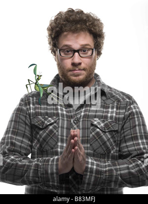 Seth Rogen stimmen Mantis Kung Fu Panda Jahr: 2008 - USA Regie: Mark Osborne, John Stevenson Animation Stockfoto