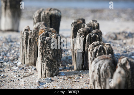 Alten Wellenbrecher an einem Strand in der Nähe des Hafens von Heiligenhafen, Deutschland. Stockfoto