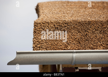 Eine Nahaufnahme von einem Strohdach. Stockfoto