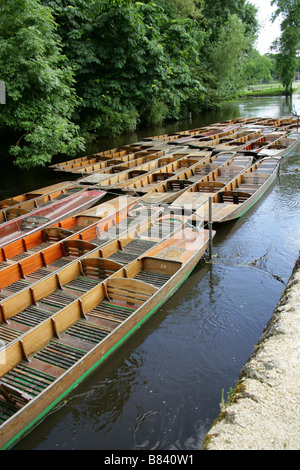 Stocherkähne auf dem Fluss Cherwell, Oxford, Oxfordshire, Vereinigtes Königreich Stockfoto
