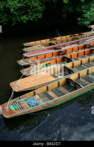 Stocherkähne auf dem Fluss Cherwell, Oxford, Oxfordshire, Vereinigtes Königreich Stockfoto