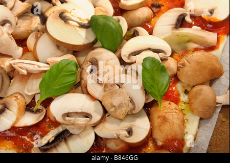 Pizza Pilze Pilze Tomate Basilikum Basilikum Champignon Koch Basis Teig Soße Käse Mozzarella Kräuter frische Küche kochen Stockfoto