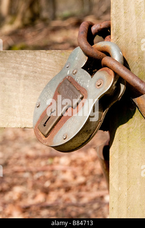 Nahaufnahme von rostigen Vorhängeschloss und Kette sichern Holztor Stockfoto