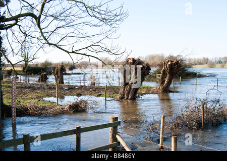 Wasser-Wiese in Thame Unterwasser weiterführender den letzten Schnee schmelzen Stockfoto