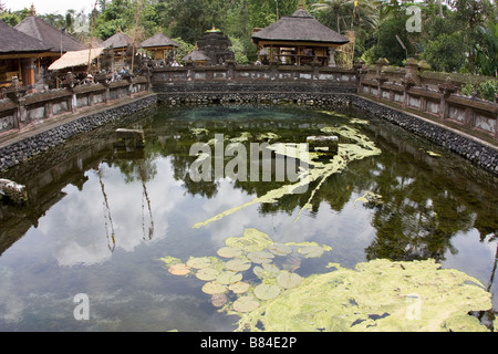 Pura Tirta Empul Tempel, in der Nähe von Ubud, Bali, Indonesien Stockfoto