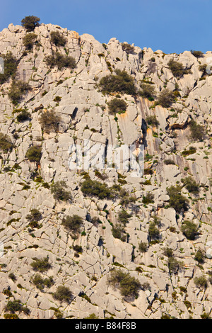 Felswände in der Nähe von El Chorro Provinz Malaga Spanien Stockfoto