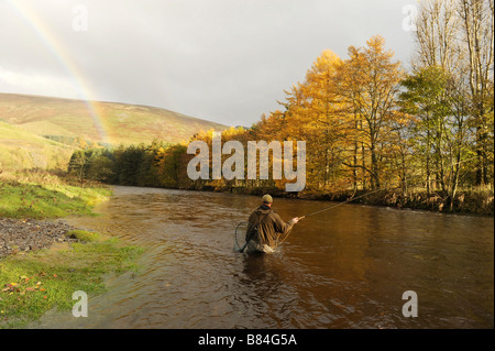 Fliegenfischen auf den Horseburgh schlagen Fluss Tweed Scotland Stockfoto