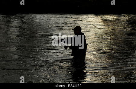 Fliegenfischen auf den Horseburgh schlagen Fluss Tweed Scotland Stockfoto