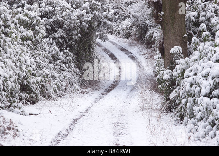 Verschneiten Strecke durch Wald Stockfoto