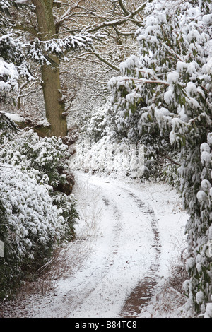 Verschneiten Strecke durch Wald Stockfoto