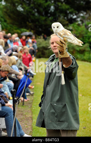 Menschenmassen beobachten die Eule britische Schleiereule Tyto Alba und Falknerei-Handler an Welt Eule Vertrauen Muncaster Castle Cumbria anzeigen Stockfoto