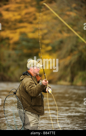 Fliegenfischen auf den Horseburgh schlagen Fluss Tweed Scotland Stockfoto