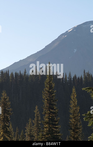 Cascade Range Mt. Adams Gifford Pinchot National Forest US-Bundesstaat Washington-USA Stockfoto