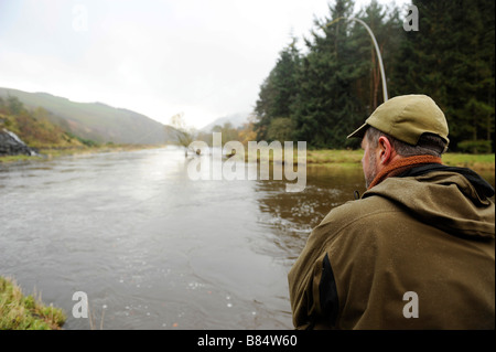 Fliegenfischen auf den Horseburgh schlagen Fluss Tweed Scotland Stockfoto