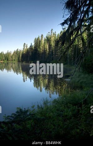 Takalak See-Ausläufer des Mt. Adams Cascade Mountain Range Gifford Pinchot National Forest Washington Stockfoto