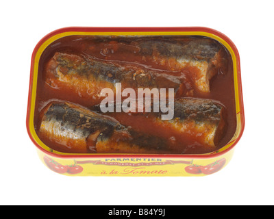 Zinn oder Kann der verarbeiteten Parmentier Sardinen in Tomatensauce auf weißem Hintergrund ohne Menschen und einen Freistellungspfad Stockfoto