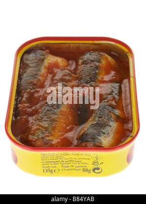 Zinn oder Kann der verarbeiteten Parmentier Sardinen in Tomatensauce auf weißem Hintergrund ohne Menschen und einen Freistellungspfad Stockfoto