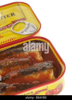 Zinn oder Kann der verarbeiteten Parmentier Sardinen in Tomatensauce auf weißem Hintergrund ohne Menschen und einen Freistellungspfad Stockfoto