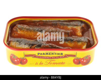 Zinn oder Kann der verarbeiteten Parmentier Sardinen in Tomatensauce auf weißem Hintergrund ohne Menschen und einen Freistellungspfad Stockfoto