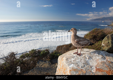 Big Sur Küste. Kalifornien, USA. Stockfoto
